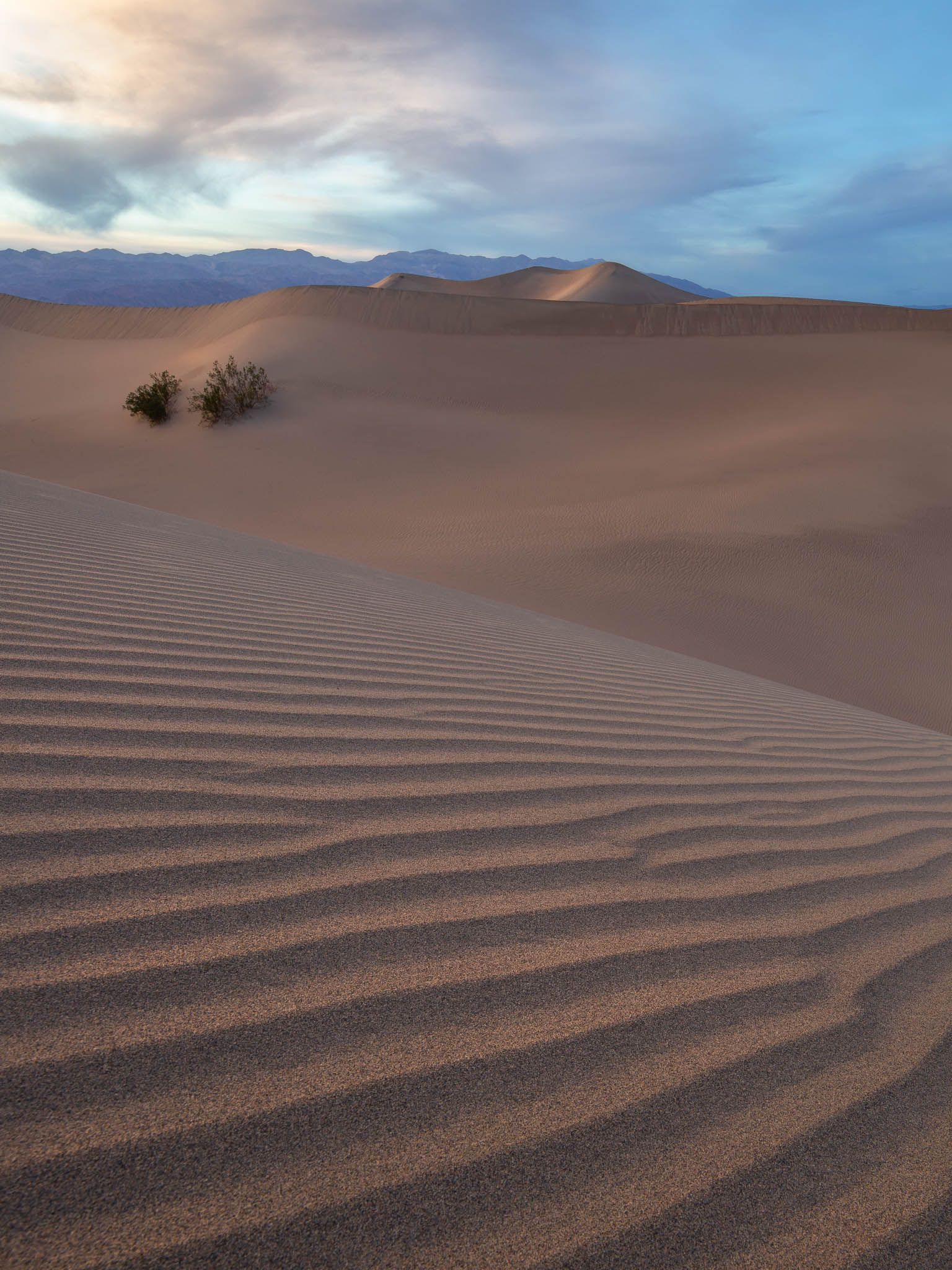 california, death valley national park, desert, mesquite dunes, mojave desert