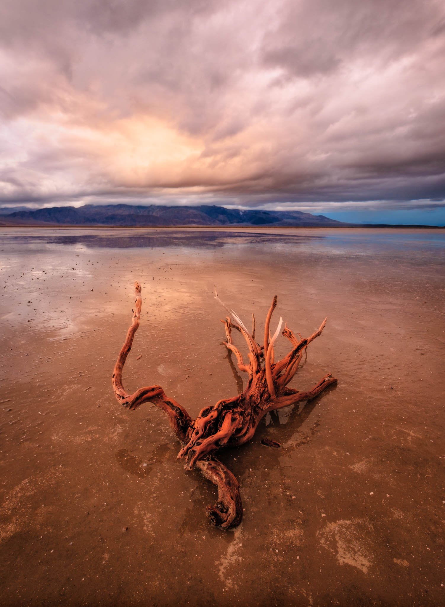 brown, california, cottonball basin, death valley national park, desert, mojave desert, orange