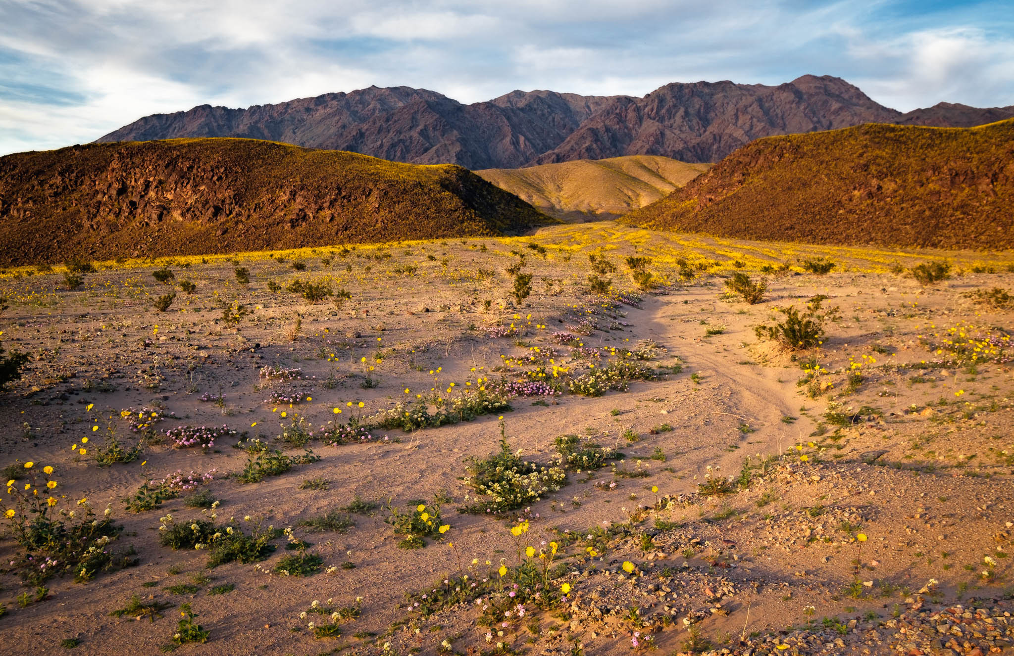 brown, california, death valley national park, desert, landscape orientation, mojave desert, yellow