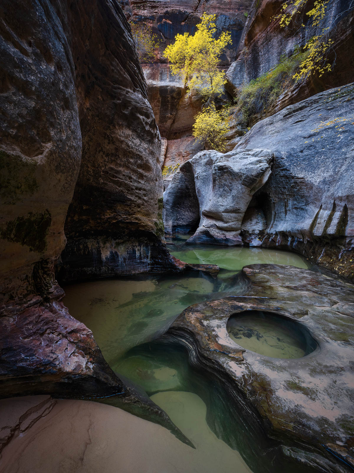slot canyon in zion during fall
