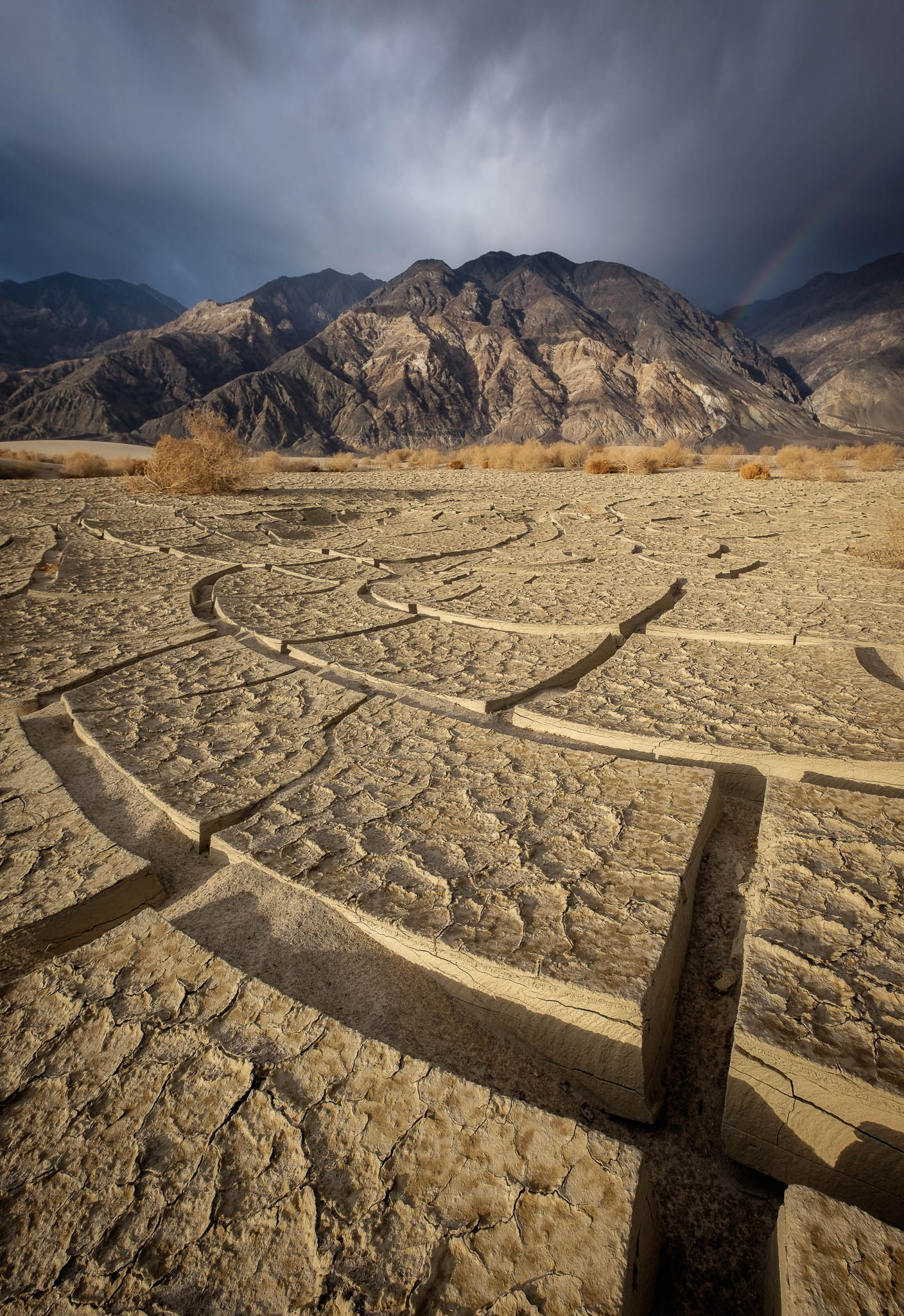 Thunderstorms bringing life to the desolate desert in Death Valley Naitonal Park