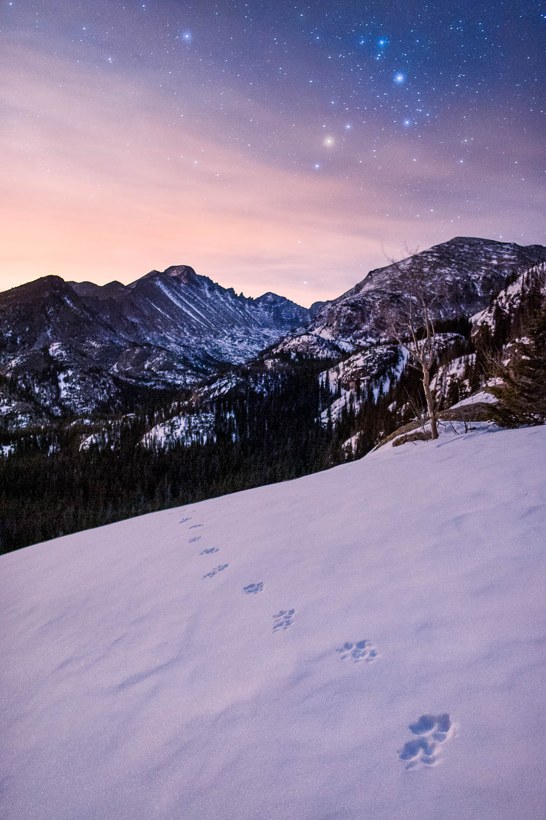 Night, Time, blue, clouds, colorado, longs peak, portrait orientation, purple, rmnp, rocky mountain national park, rocky mountains...